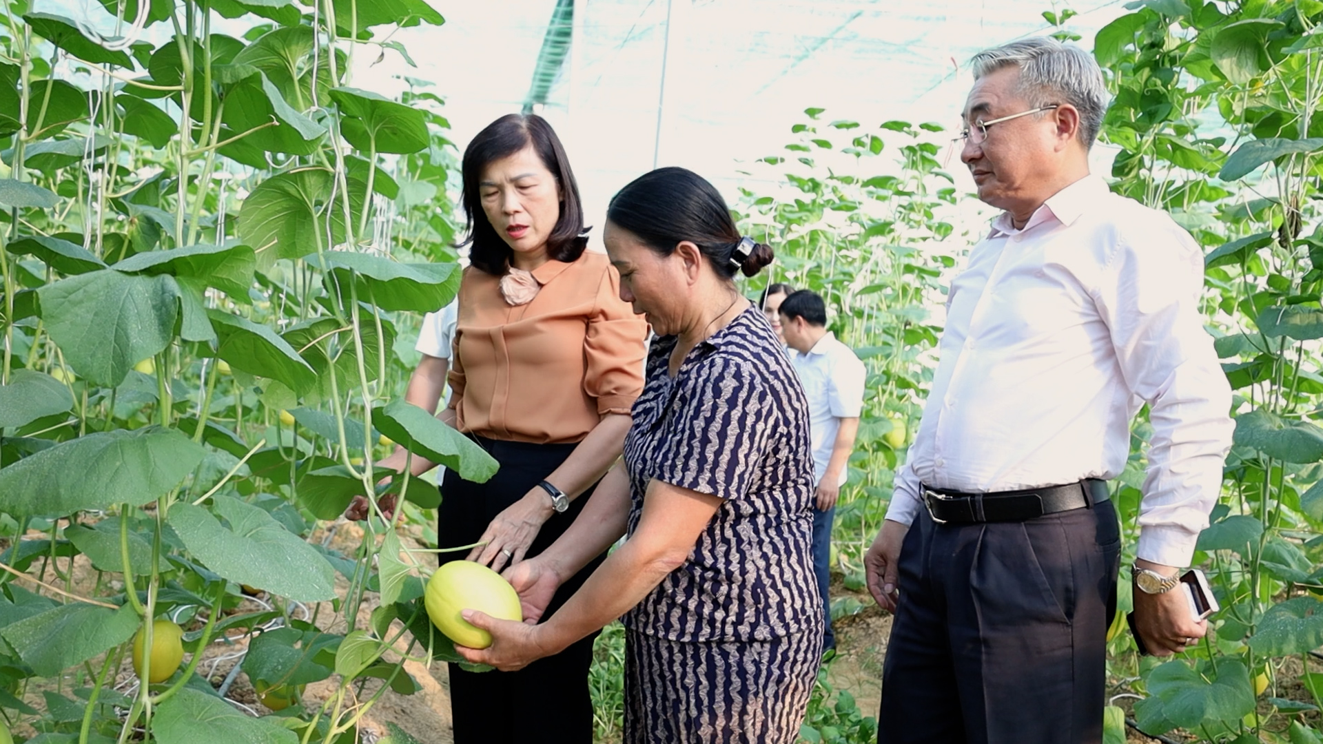 Hướng dẫn nộp trực tuyến hồ sơ đề nghị hưởng trợ cấp hưu tr&iacute; x&atilde; hội cho ngươi 75 tuổi dễ l&agrave;m.00_00_20_12.Still009.jpg