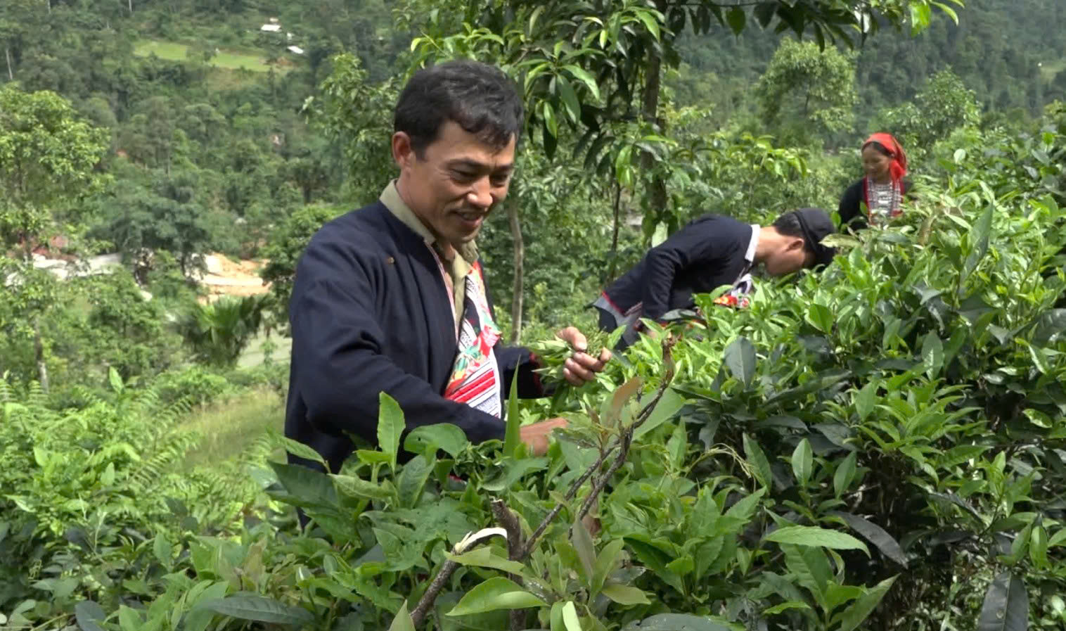 Bí thư chi bộ tiên phong, gương mẫu giữa đời thường