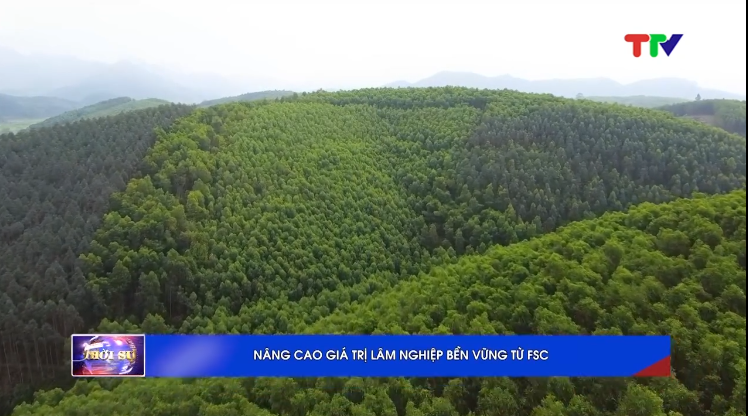 Nâng cao giá trị lâm nghiệp bền vững từ FSC