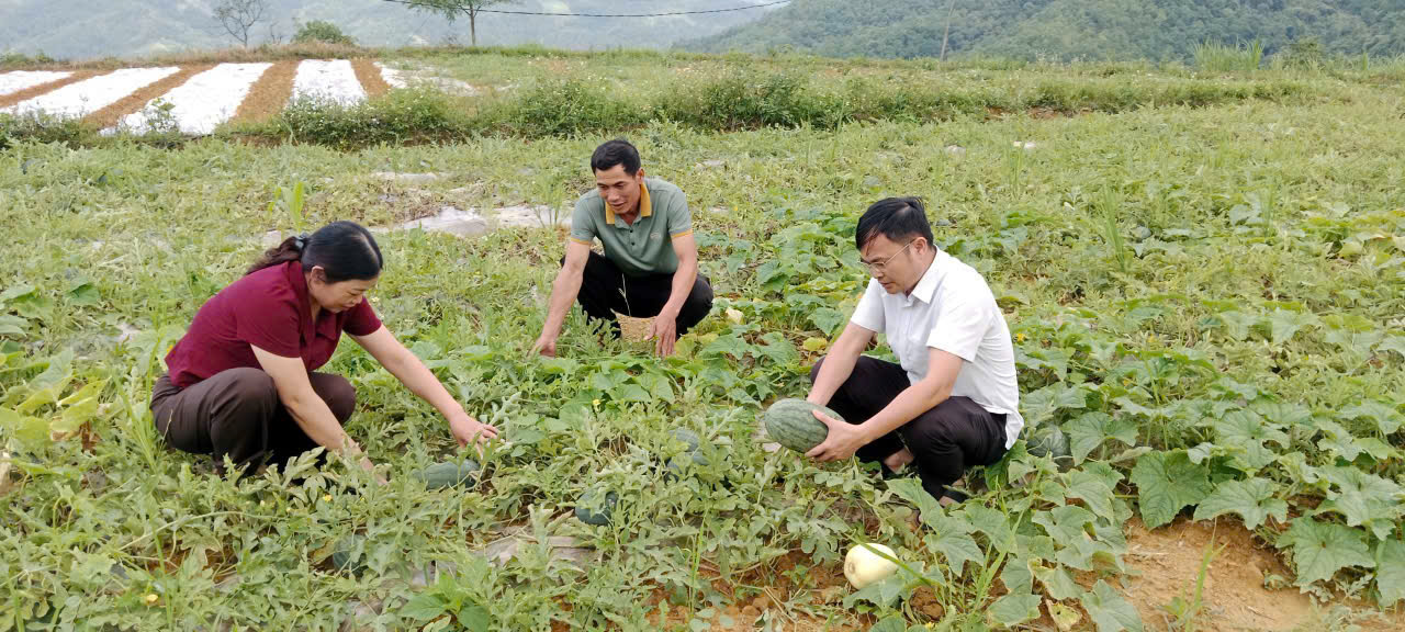 Đoàn công tác xã khảo sát diện tích trồng dưa hấu tại thôn Vị Ke