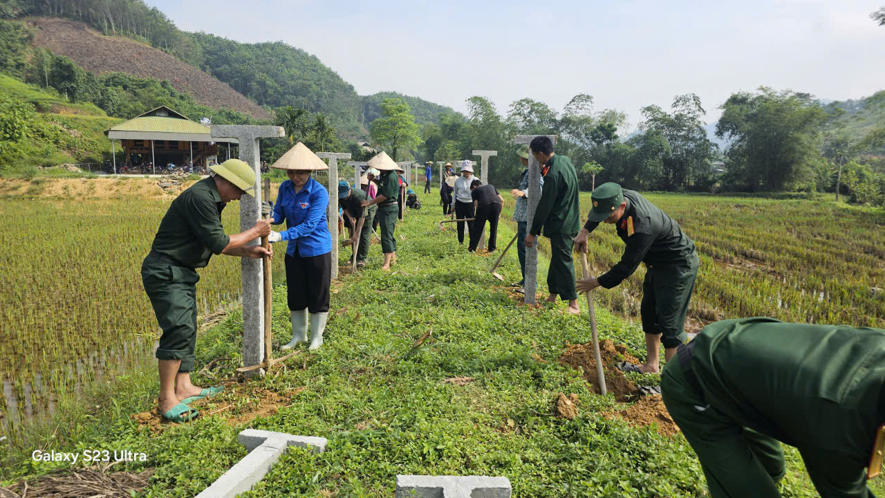 Vườn tạp 6.jpg