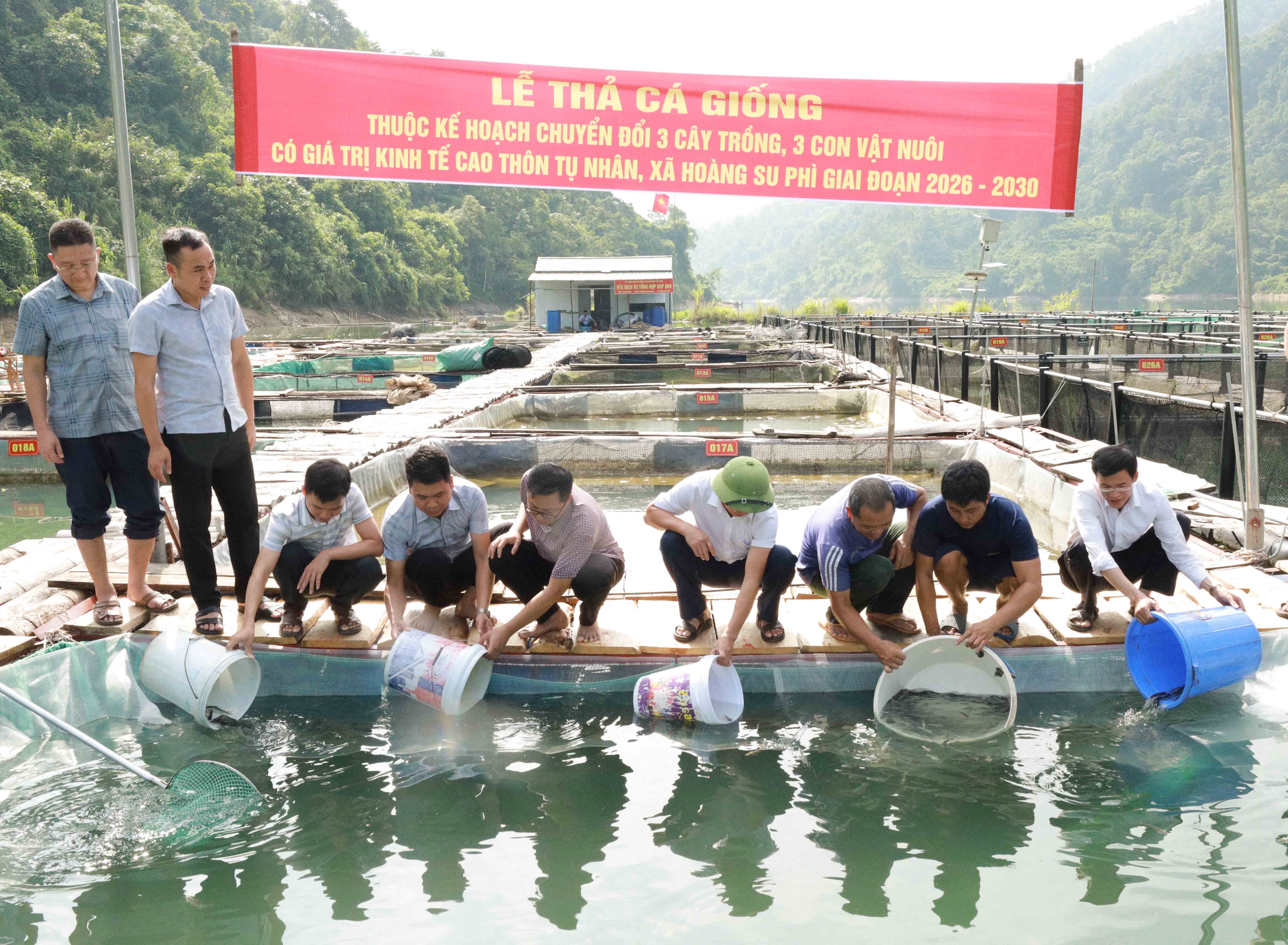 Hoàng Su Phì Triển khai mô hình nuôi cá lồng lòng hồ thủy điện, tiếp sức hộ dân vươn lên thoát nghèo