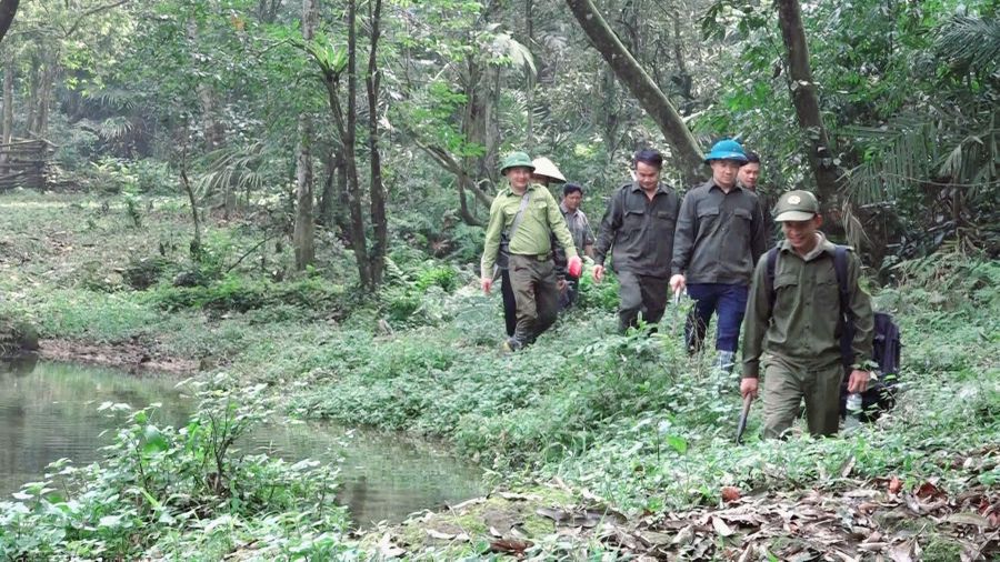 Xã Bắc Quang tổ chức tuần tra, bảo vệ rừng đợt 1 năm 2026