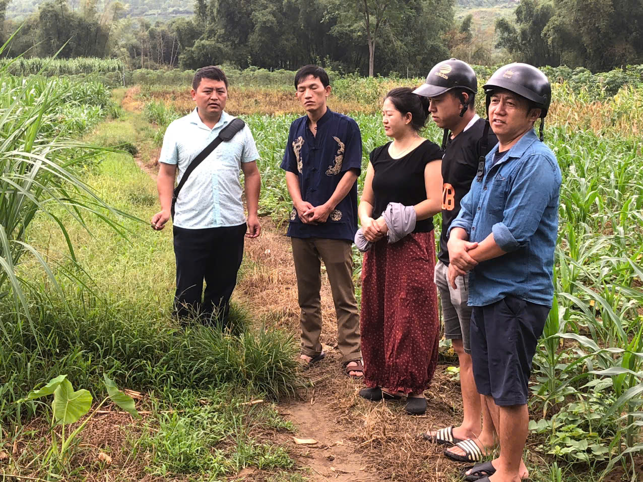 TỔ ĐẠI BIỂU HĐND SỐ 2 KHẢO SÁT KẾT QUẢ GIẢI QUYẾT KIẾN NGHỊ CỦA CỬ TRI TẠI XÓM PHỐ LÒ PHÌN, THÔN ĐẦU CẦU 2