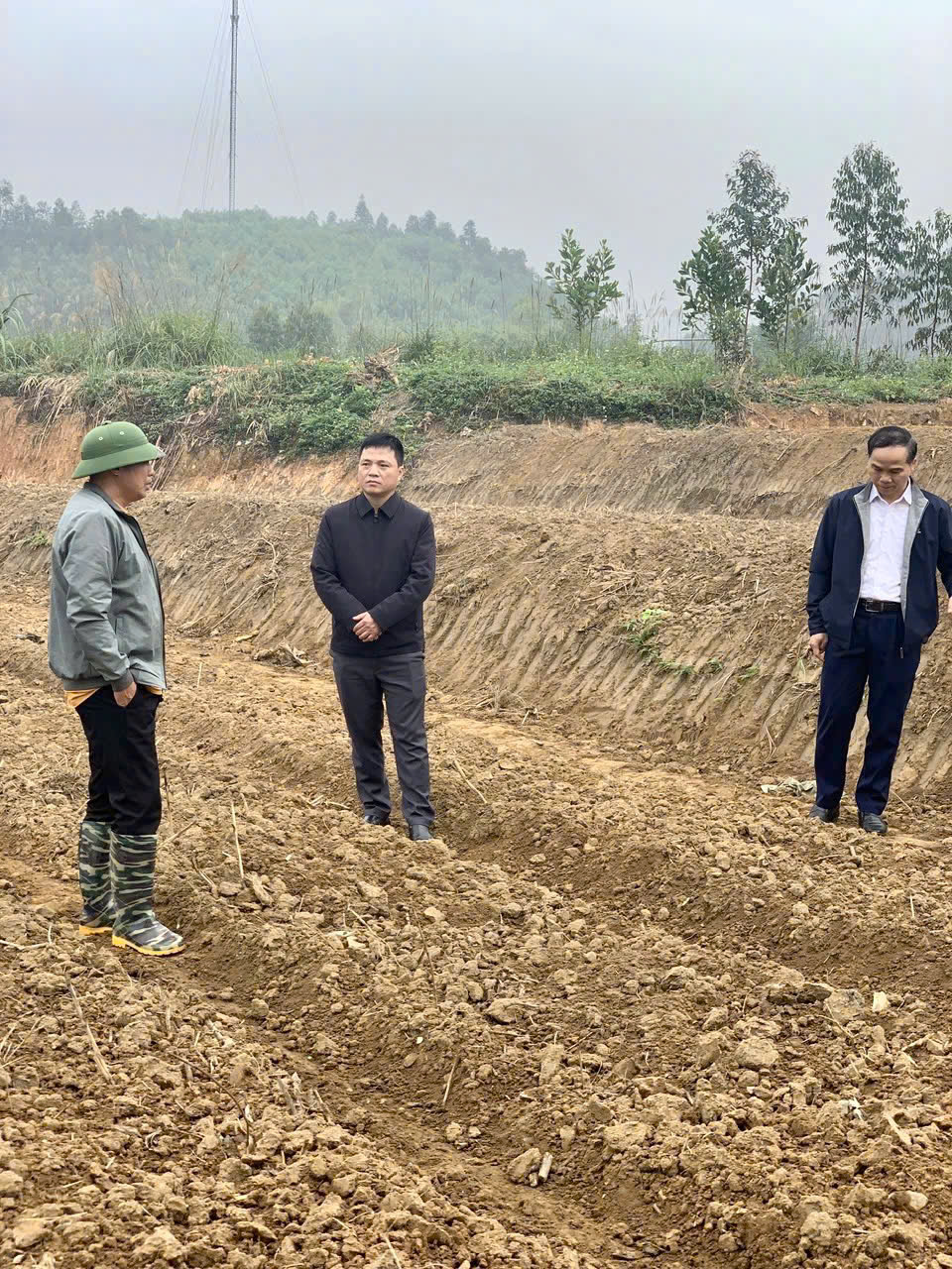 Phát triển kinh tế nông nghiệp, chuyển đổi cơ cấu cây trồng.