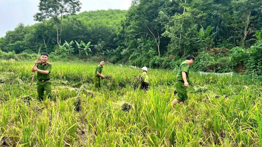 DẤU CHÂN MÙA HÈ
