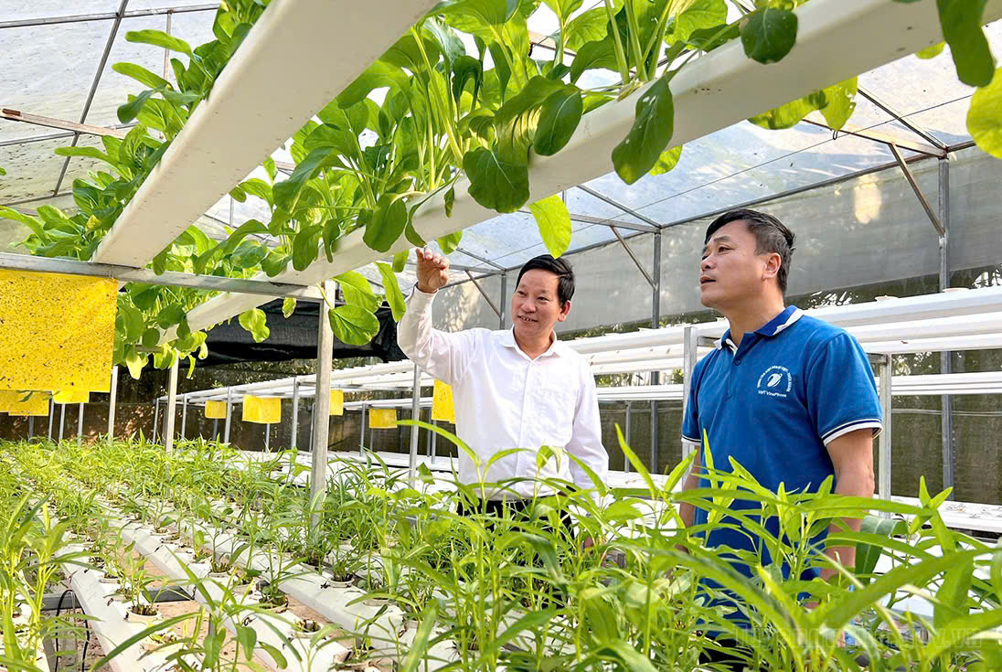 “Chuyển đổi kép” thúc đẩy nông nghiệp phát triển bền vững
