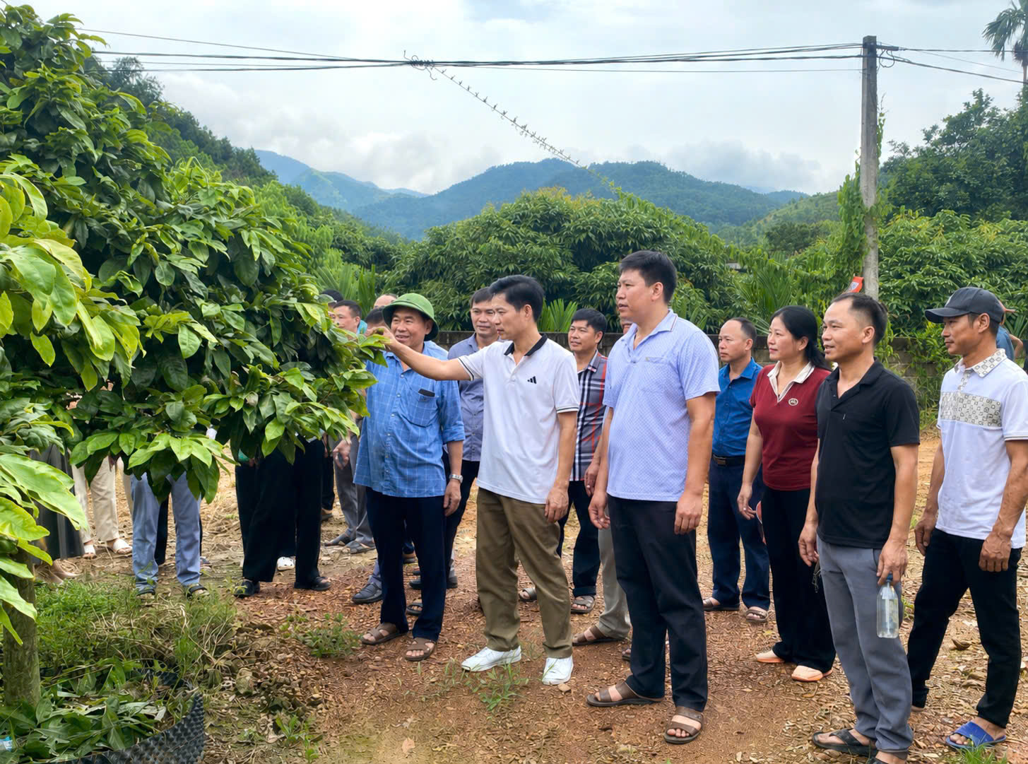 Đoàn công tác xã Thái Sơn học tập, trao đổi kinh nghiệm phát triển kinh tế, giảm nghèo tại phường Bình Khê, tỉnh Quảng Ninh