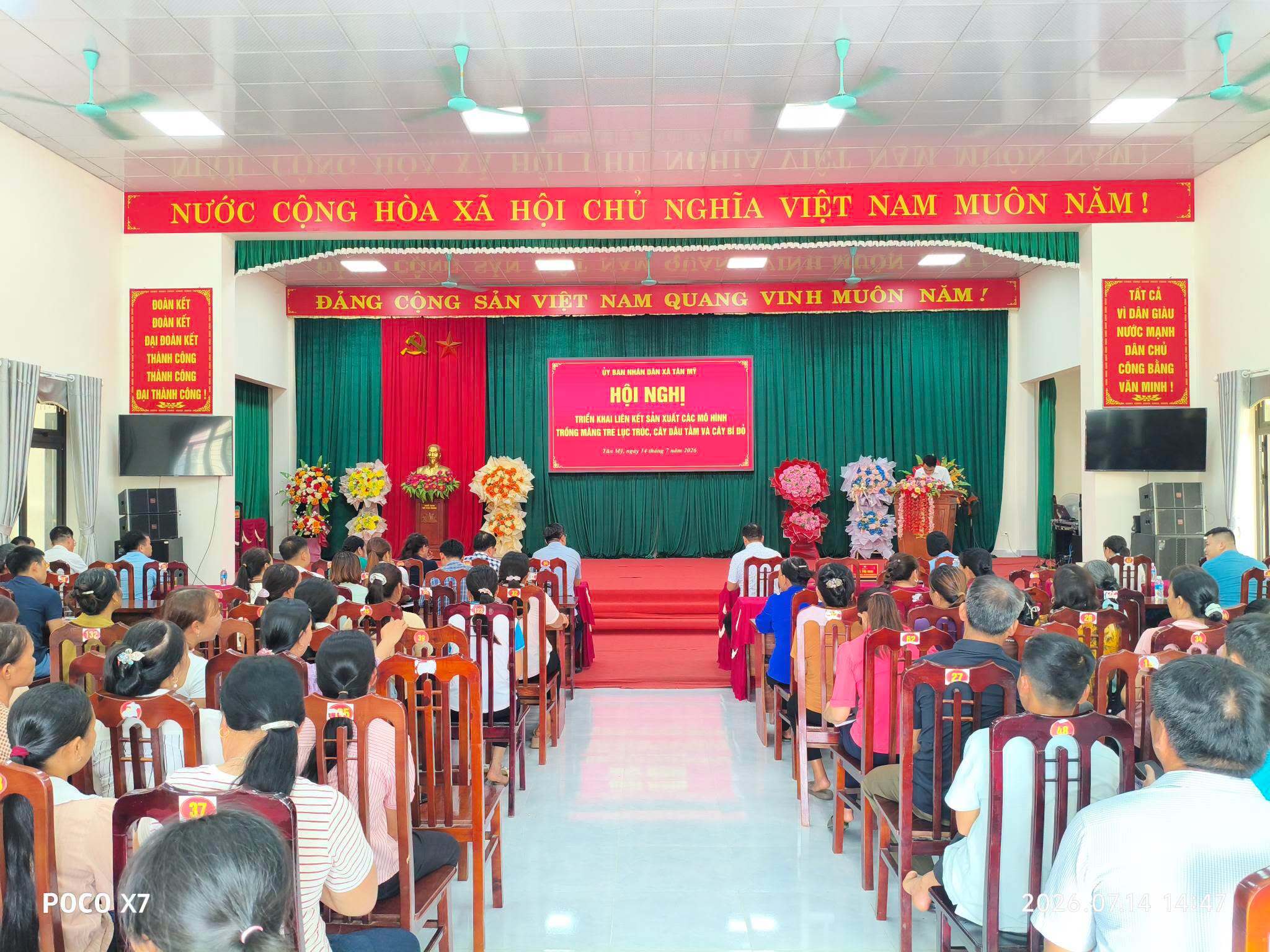 XÃ TÂN MỸ: CHỦ ĐỘNG LIÊN KẾT DOANH NGHIỆP, HTX PHÁT TRIỂN CÁC MÔ HÌNH CÂY TRỒNG LIÊN KẾT THEO CHUỖI GIÁ TRỊ, NÂNG CAO GIÁ TRỊ KINH TẾ