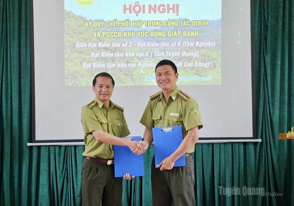 Phối hợp bảo vệ rừng khu vực giáp ranh Tuyên Quang – Thái Nguyên