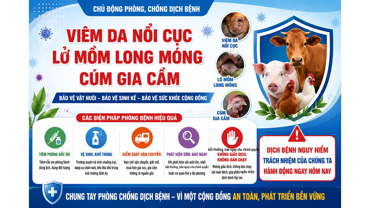 Tăng cường phòng, chống 3 bệnh dịch nguy hiểm trên đàn gia súc, gia cầm