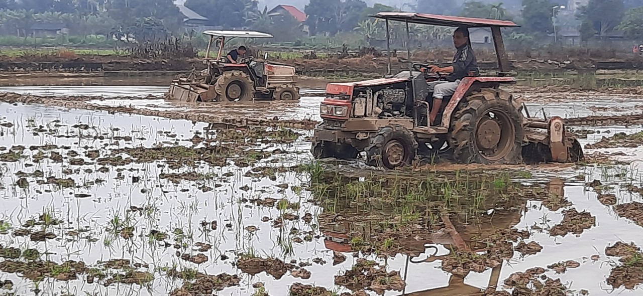 Xã Linh Hồ đẩy mạnh sản xuất vụ Xuân năm 2026