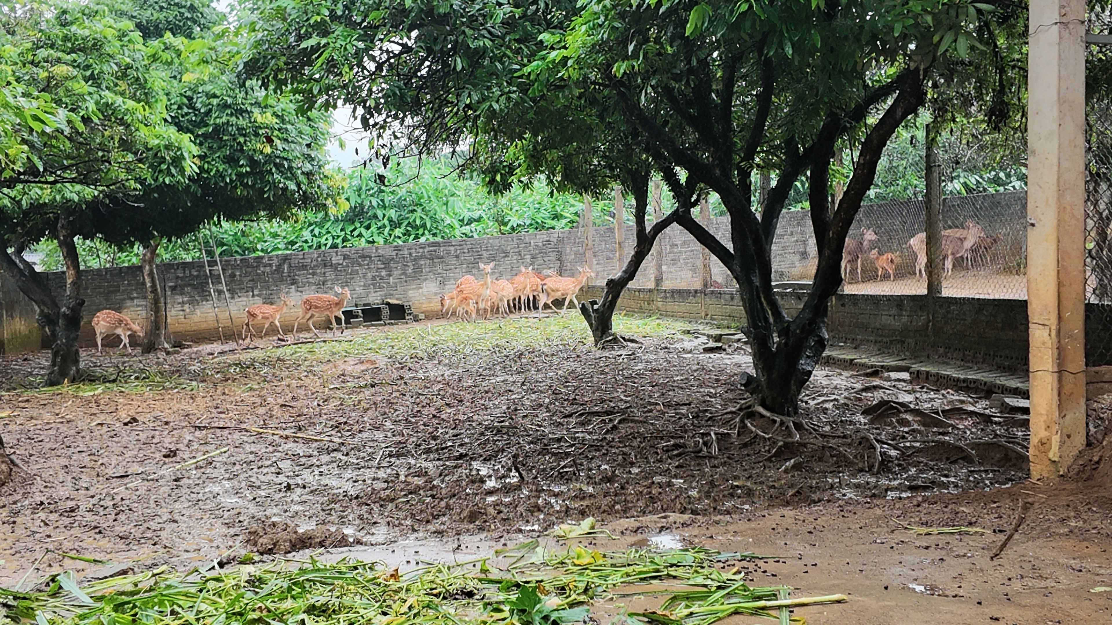 Ra mắt 10.JPG