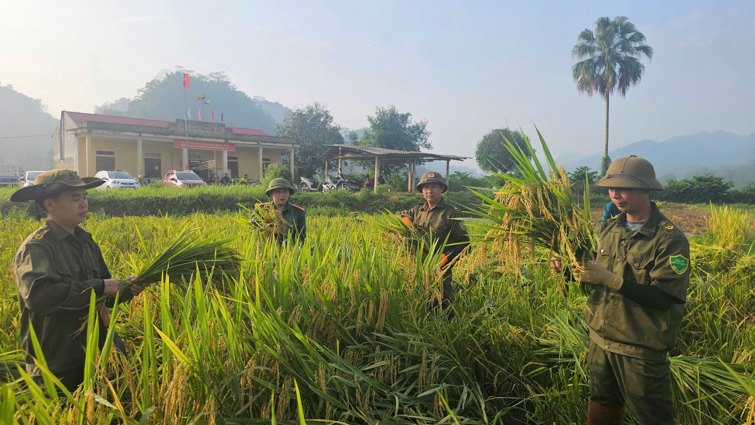 LAN TOẢ PHONG TRÀO THI ĐUA “BA NHẤT” TRÊN CÁNH ĐỒNG VÀNG