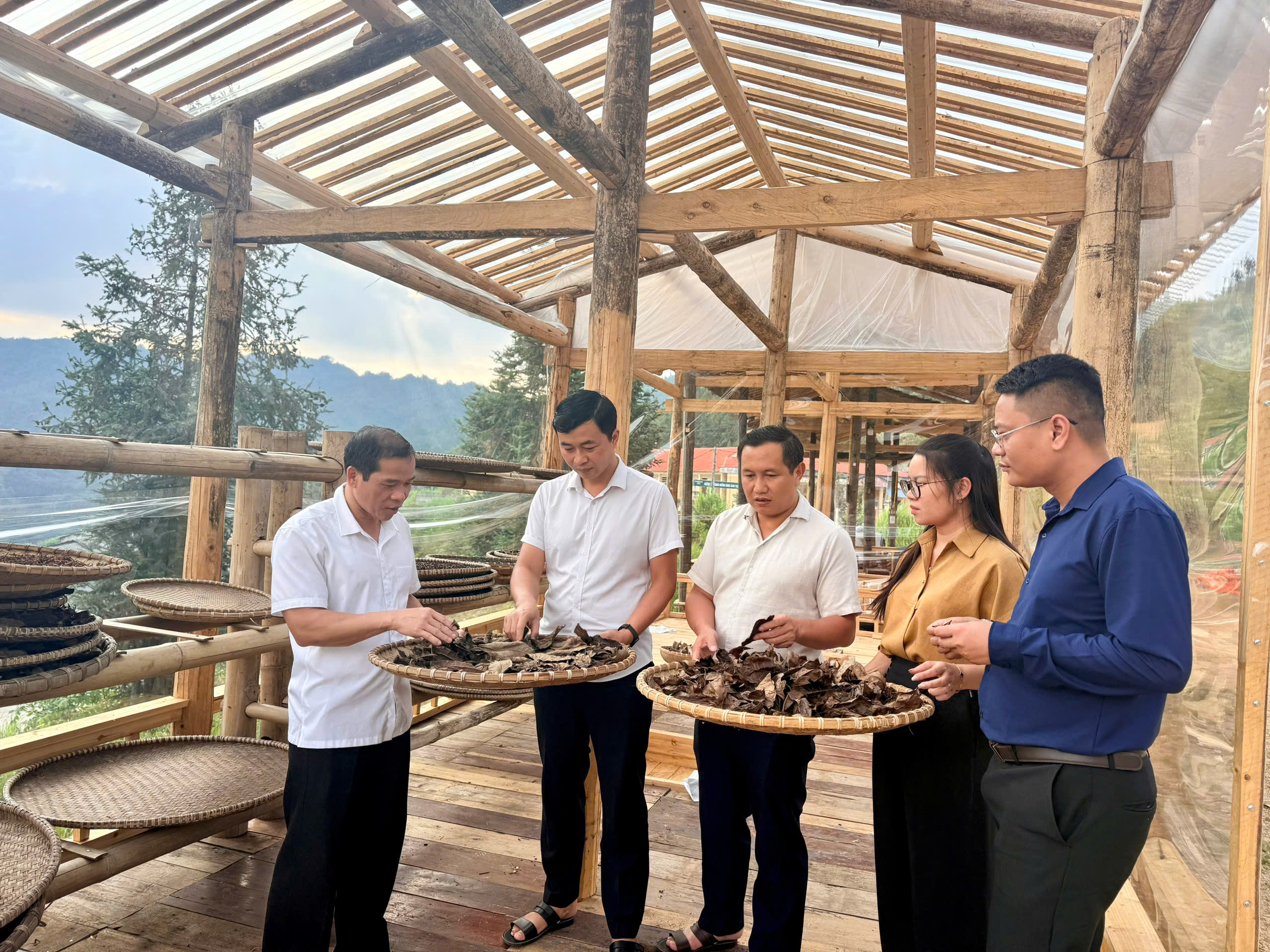 ĐƯA VĂN HÓA TRÀ TRỞ THÀNH TRẢI NGHIỆM DU LỊCH Ở LŨNG CÚ