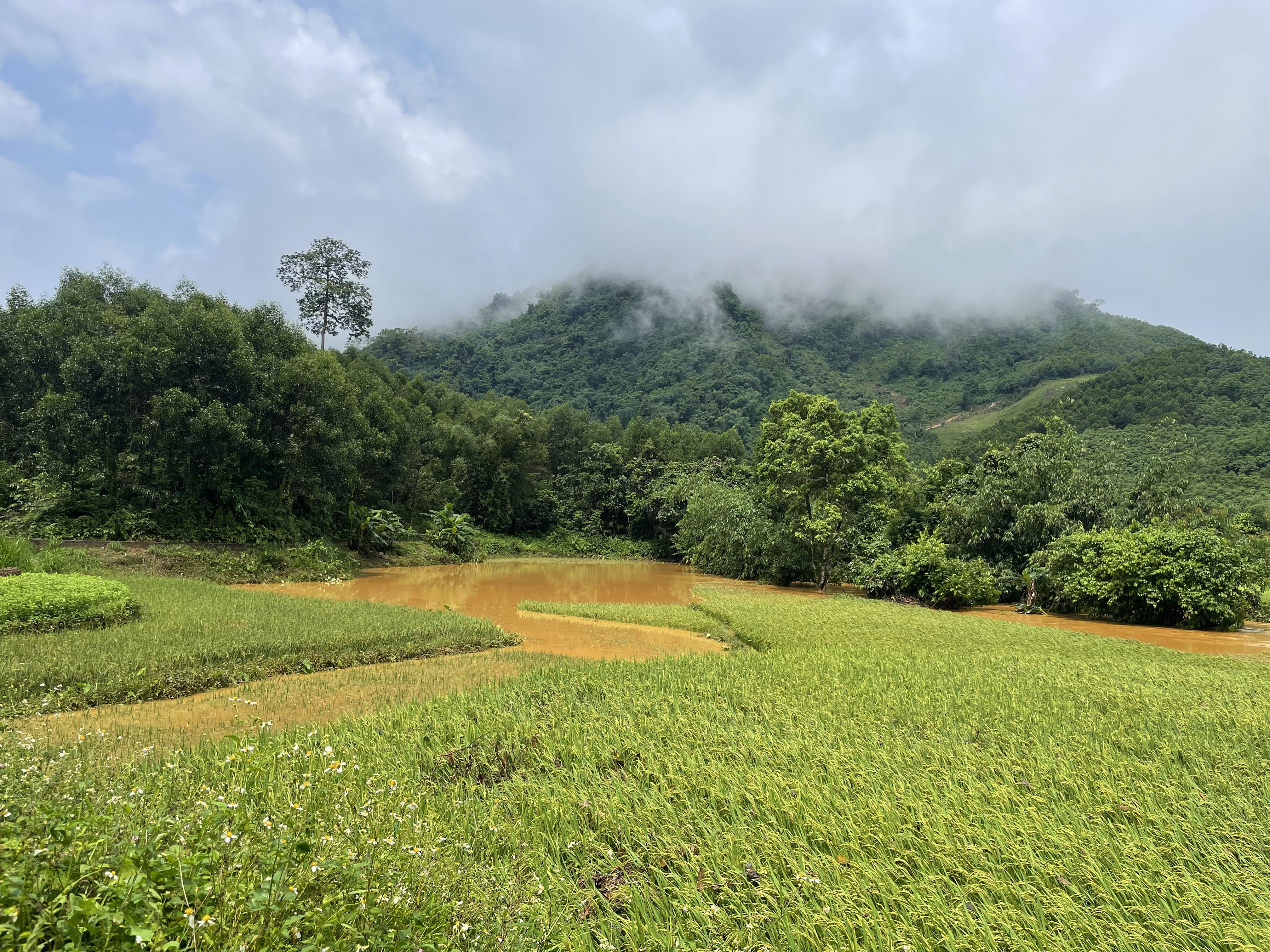 Sạt lở 5.JPG