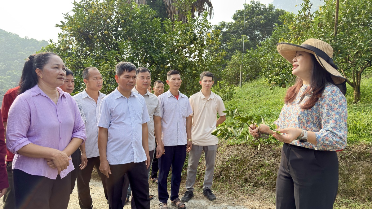 BẾ GIẢNG LỚP TẬP HUẤN NÂNG CAO NĂNG LỰC VỀ QUY TRÌNH KỸ THUẬT SẢN XUẤT CAM BỀN VỮNG