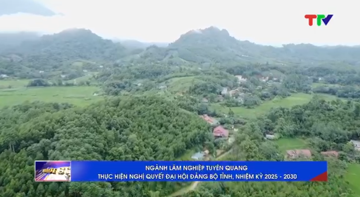 Ngành lâm nghiệp Tuyên Quang thực hiện nghị quyết đại hội đảng bộ tỉnh, nhiệm kỳ 2025-2030