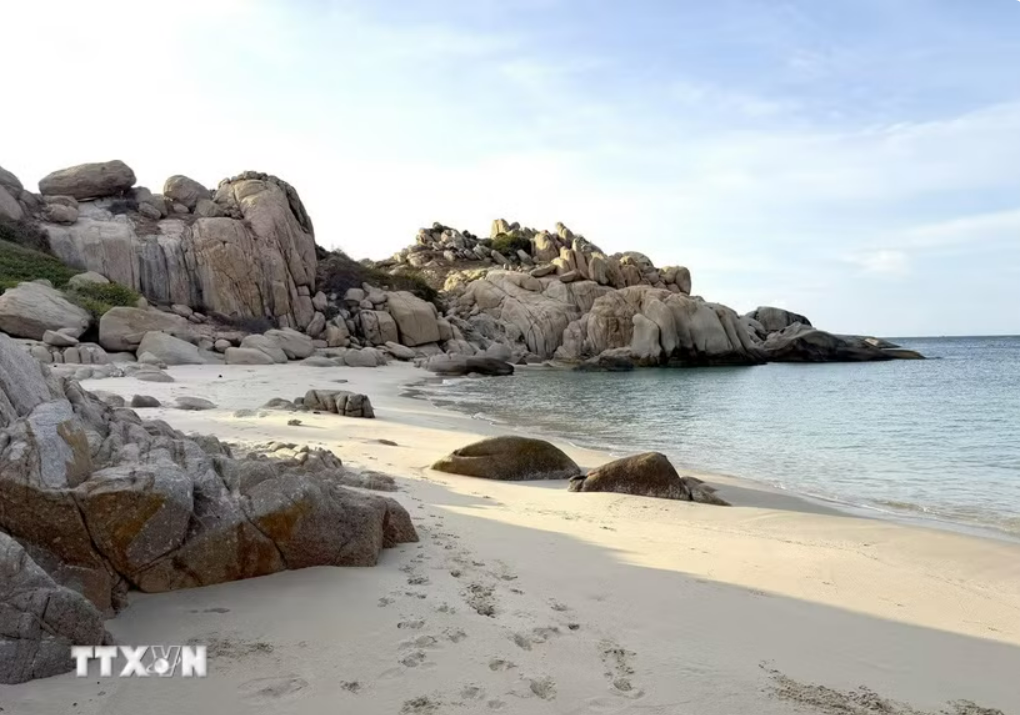 Hòn Cau - “viên ngọc xanh” giữa biển khơi hút bước chân du khách