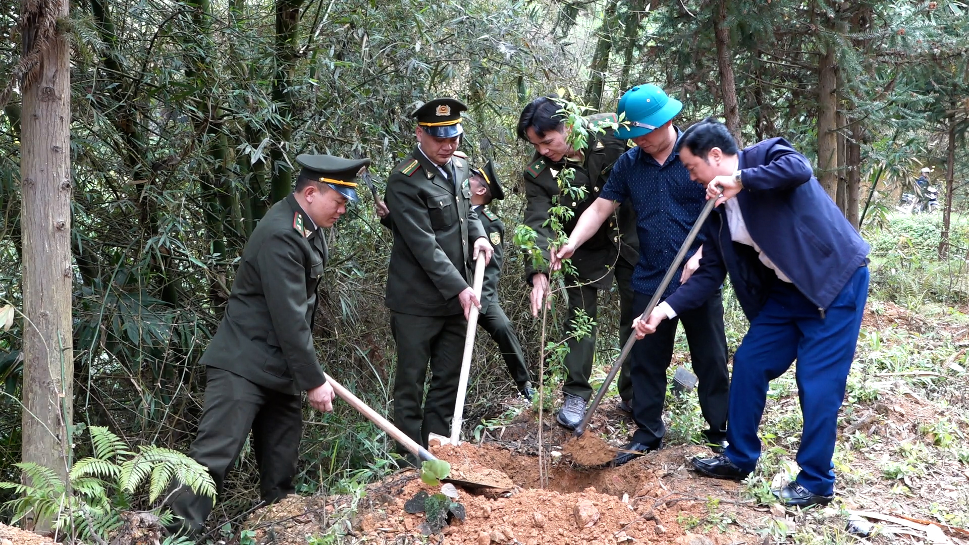 Xã Tát Ngà phát động Tết trồng cây Xuân Bính Ngọ 2026