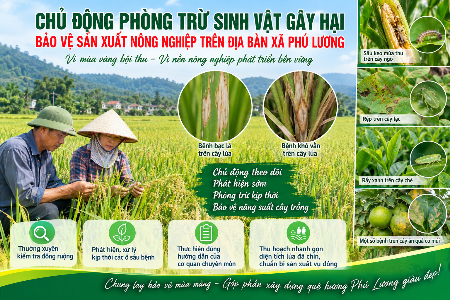 CHỦ ĐỘNG PHÒNG TRỪ SINH VẬT GÂY HẠI, BẢO VỆ SẢN XUẤT NÔNG NGHIỆP TRÊN ĐỊA BÀN XÃ PHÚ LƯƠNG