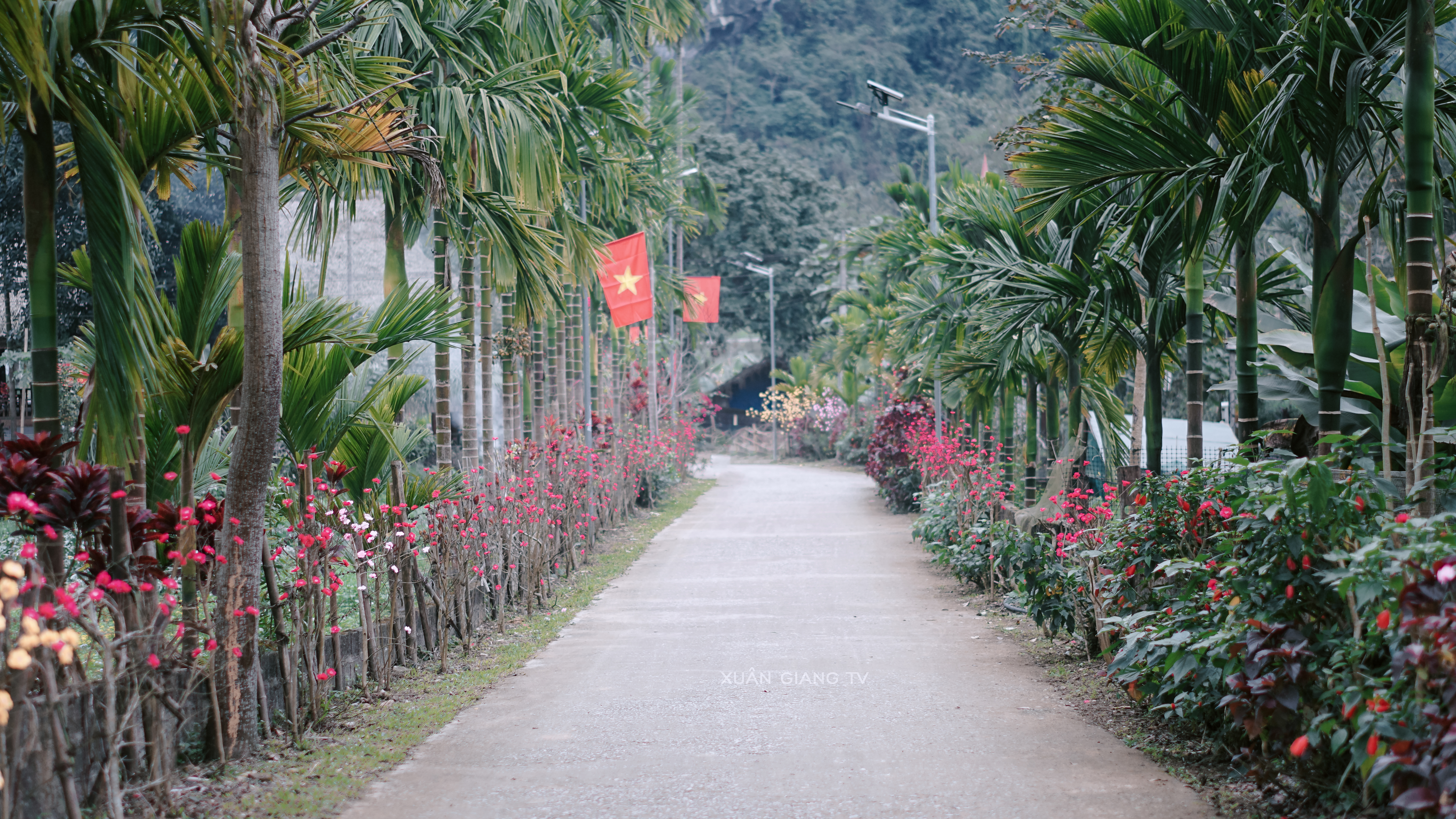 Xã Xuân Giang: Khẩn trương hoàn tất công tác chuẩn bị cho Lễ hội Lồng Tồng dân tộc Tày năm 2026