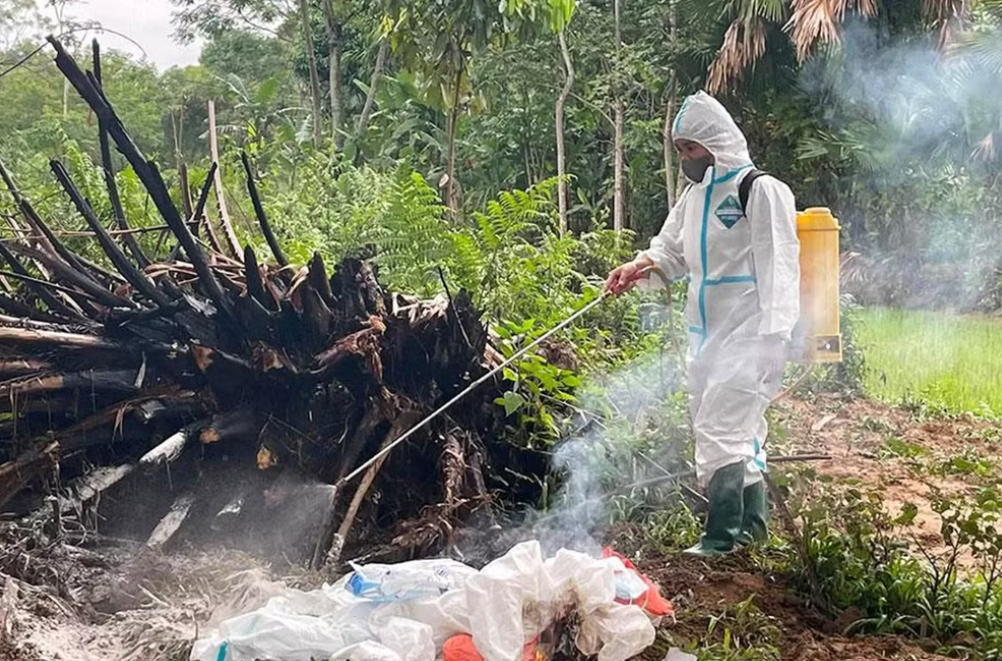 Triển khai quyết liệt các biện pháp phòng, chống dịch cúm gia cầm A/H5N1
