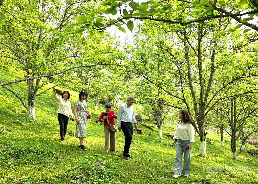 Green tourism