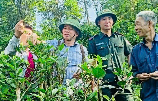 ĐỒNG CHÍ BÍ THƯ ĐẢNG ỦY XÃ KHẢO SÁT MÔ HÌNH TRỒNG CHÈ VÀ KIỂM TRA NGUỒN NƯỚC PHỤC VỤ SẢN XUẤT VÀ SINH HOẠT CỦA NHÂN DÂN