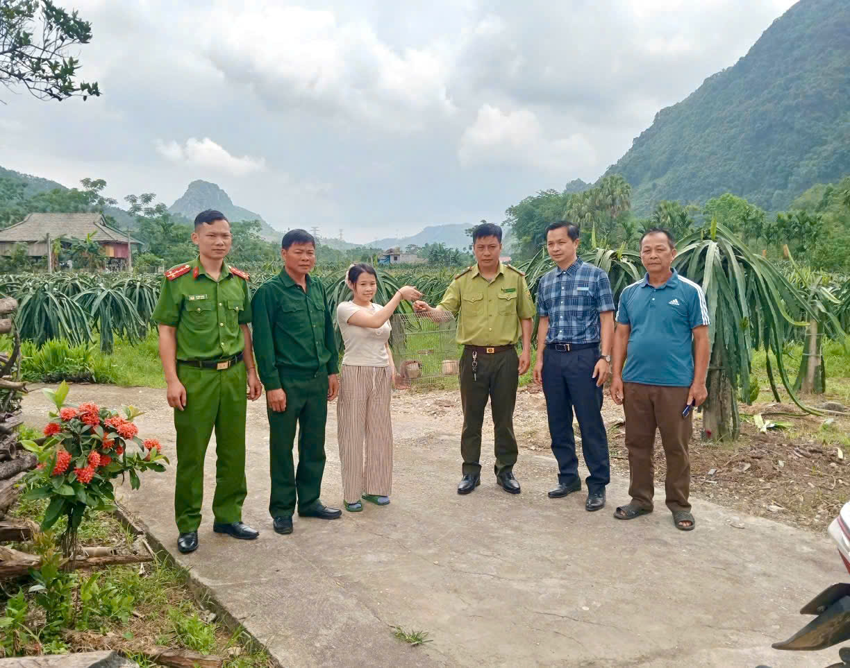 ĐƯA CÁ THỂ CU LI VỀ LẠI VỚI THIÊN NHIÊN