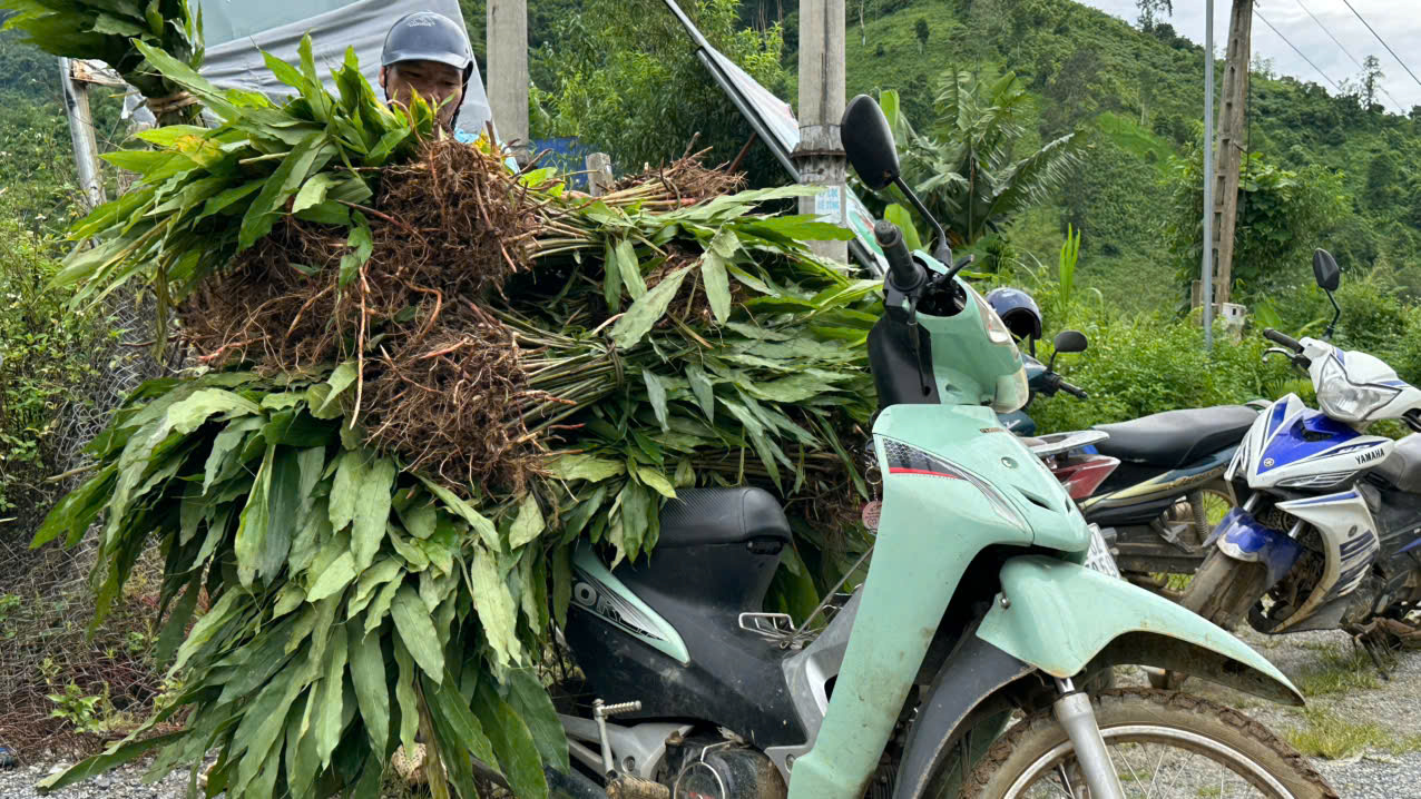 sa nhan 6.jpg