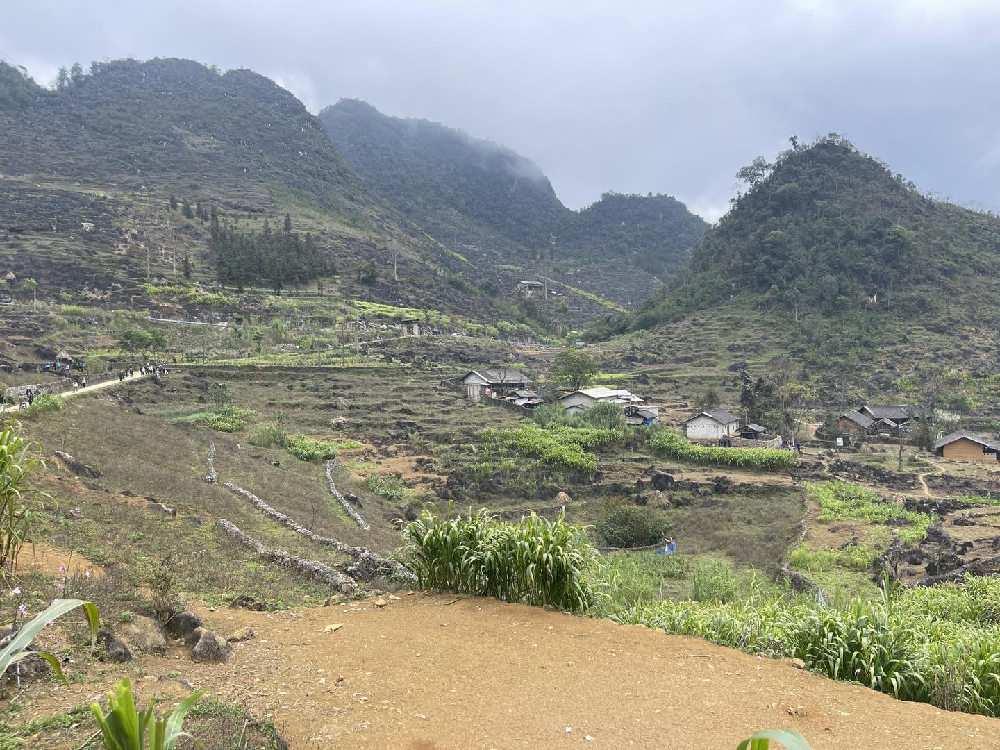 Xã Lũng Phìn tổ chức Lễ phát động “Tết trồng cây đời đời nhớ ơn Bác Hồ” Xuân Bính Ngọ năm 2026