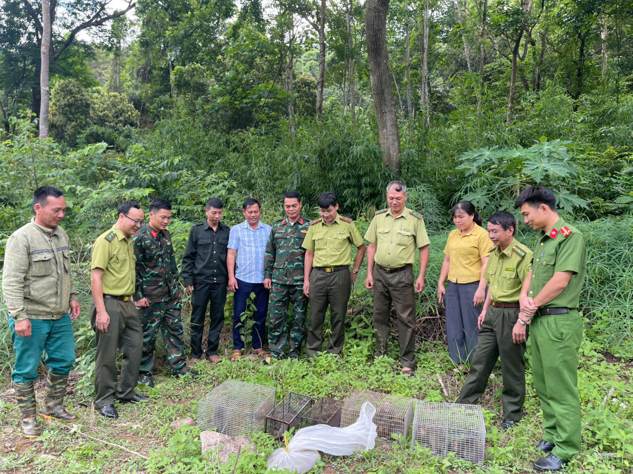 CÔNG AN XÃ TÂN TRÀO PHỐI HỢP CỨU HỘ VÀ TÁI THẢ ĐỘNG VẬT HOANG DÃ VỀ MÔI TRƯỜNG TỰ NHIÊN