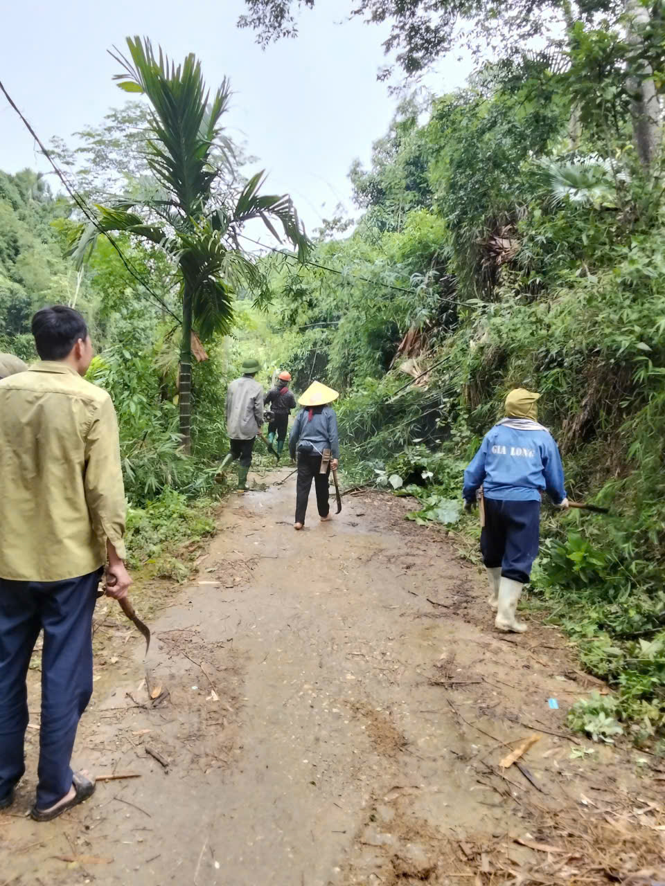 Lễ phát động 5.jpg