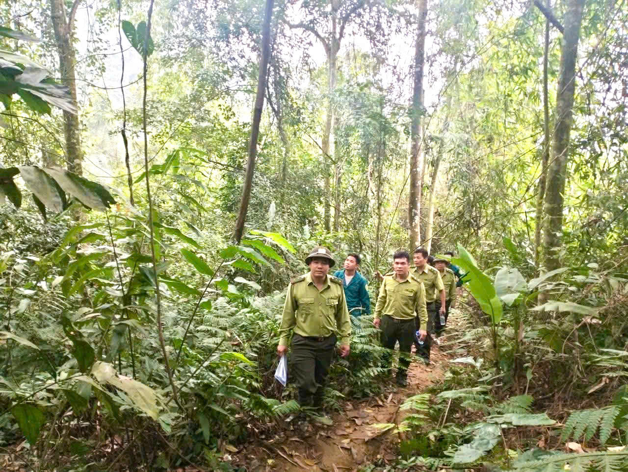 Tân Thanh tăng cường các biện pháp phòng cháy, chữa cháy rừng trong mùa khô hanh
