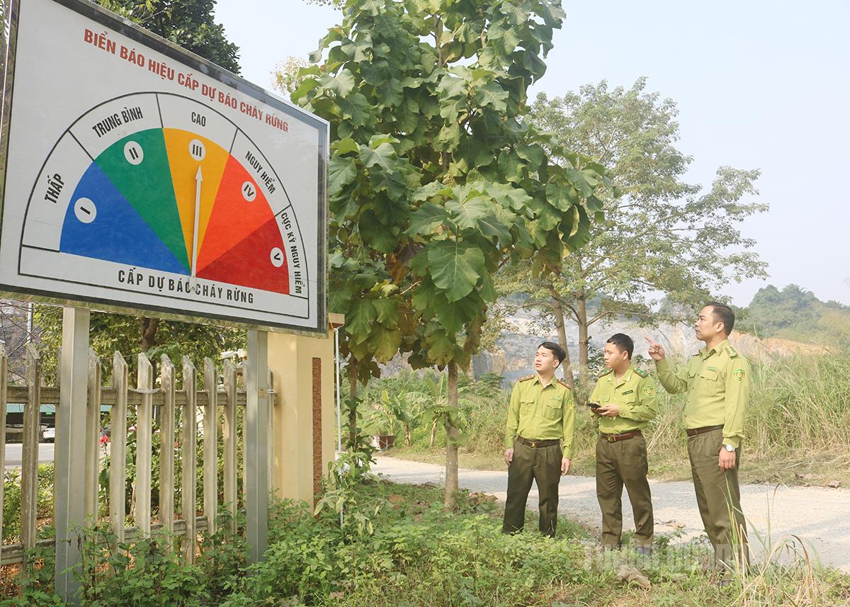 Quản lý, bảo vệ rừng trên không gian số