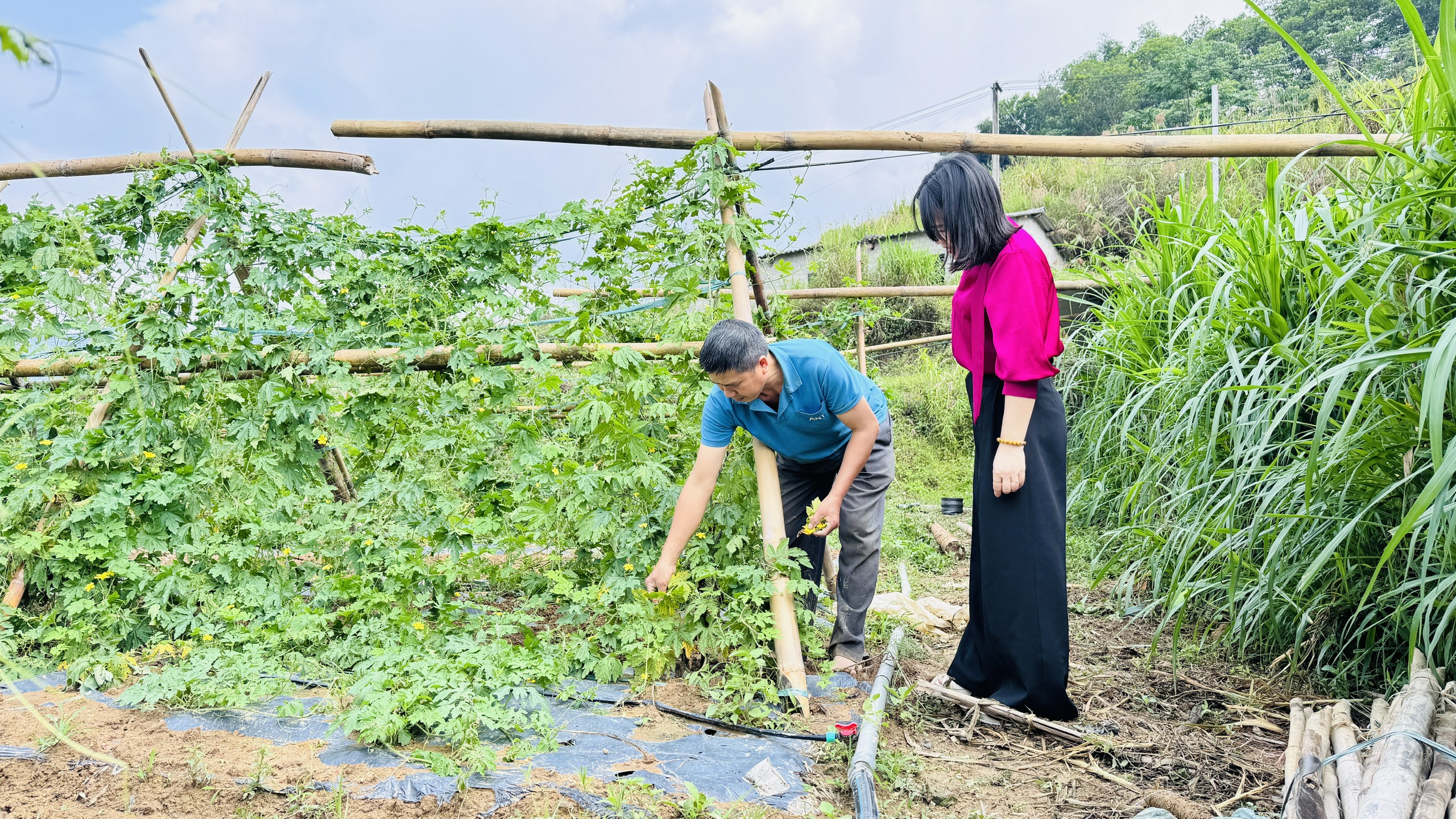 ÔNG NGUYỄN SINH THỨC VÀ HÀNH TRÌNH BIẾN “ĐẤT LÚA” THÀNH “ĐẤT VÀNG”