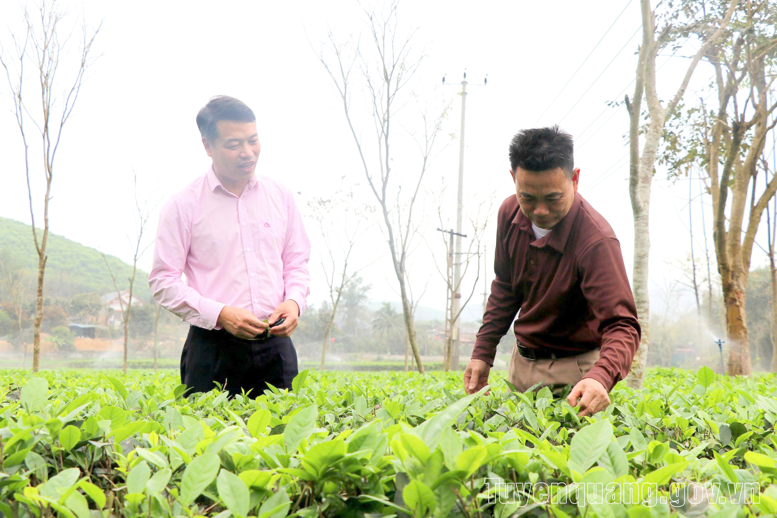 “Điểm tựa” phát triển vùng khó ở Tuyên Quang