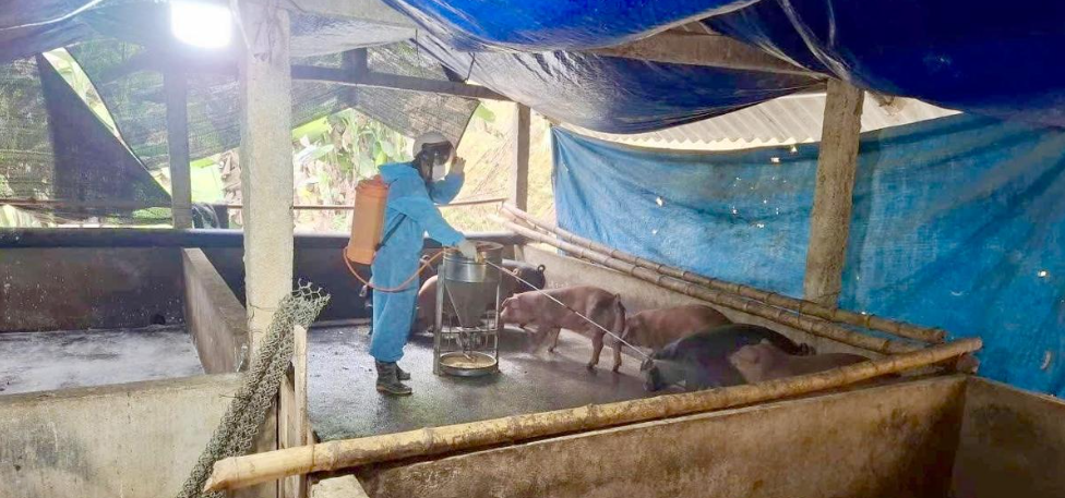 Tuyên Quang chủ động kiểm soát, ngăn ngừa nguy cơ dịch bệnh lở mồm long móng xâm nhập