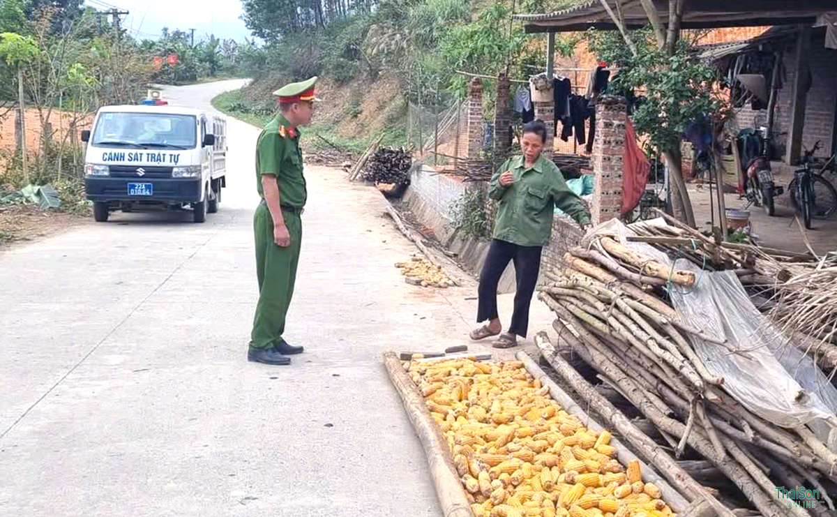Công an xã Thái Sơn cảnh báo nguy cơ tai nạn từ việc phơi nông sản, tập kết củi trên đường giao thông