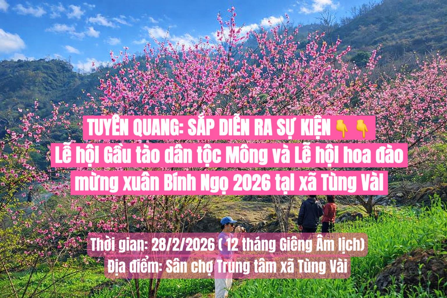 Thông báo Lễ hội Gầu tào dân tộc Mông và Lễ hội hoa đào mừng Xuân Bính Ngọ 2026 tại xã Tùng Vài.