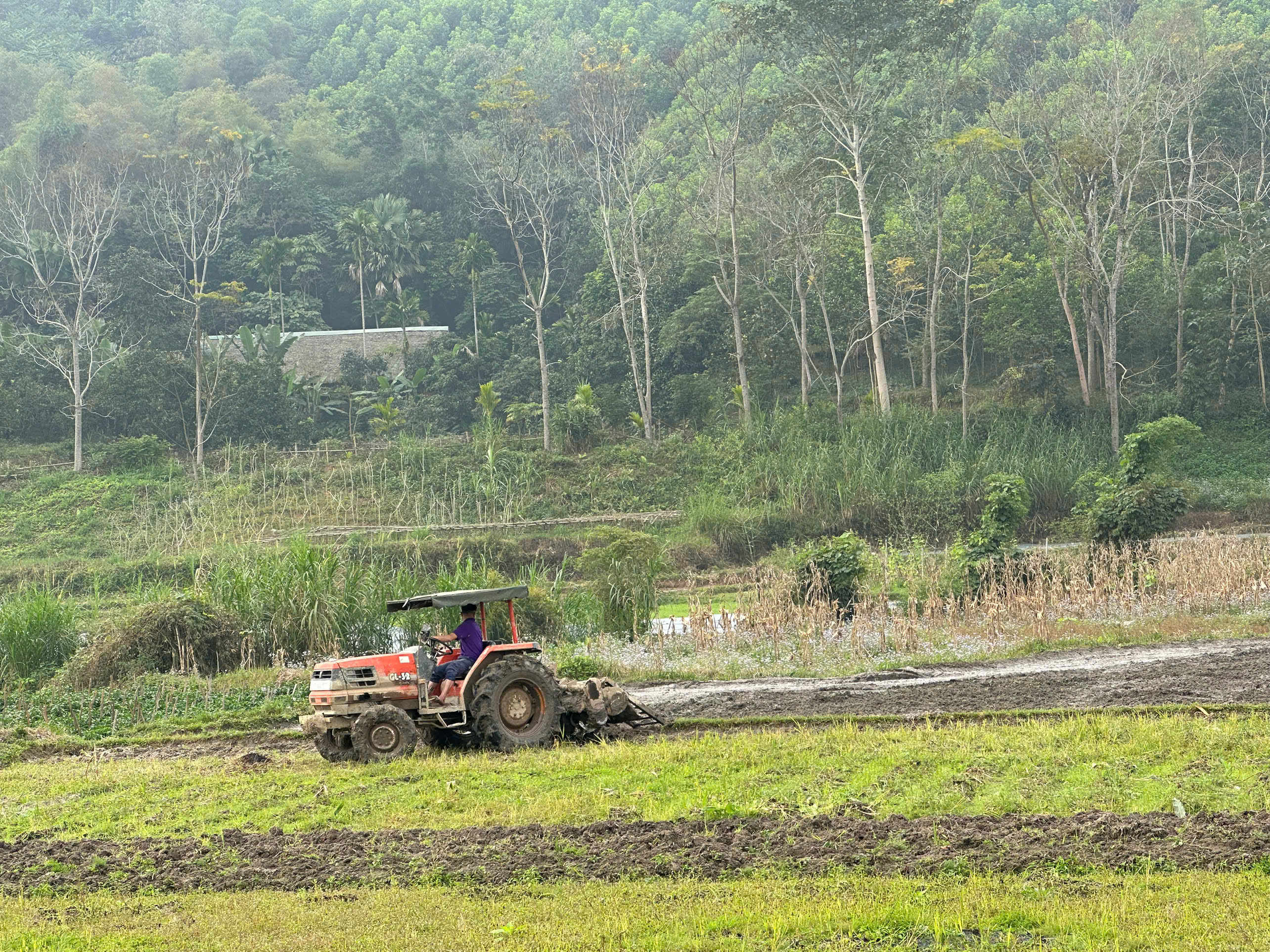 HÒA AN: Chuẩn bị tốt các điều kiện để giành thắng lợi sản xuất vụ Xuân