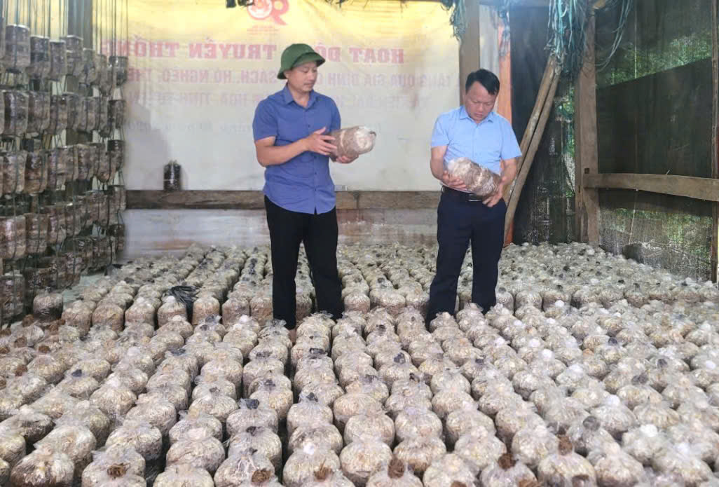 Chủ tịch UBND xã Kiên Đài kiểm tra sản xuất, chủ động ứng phó mưa lũ