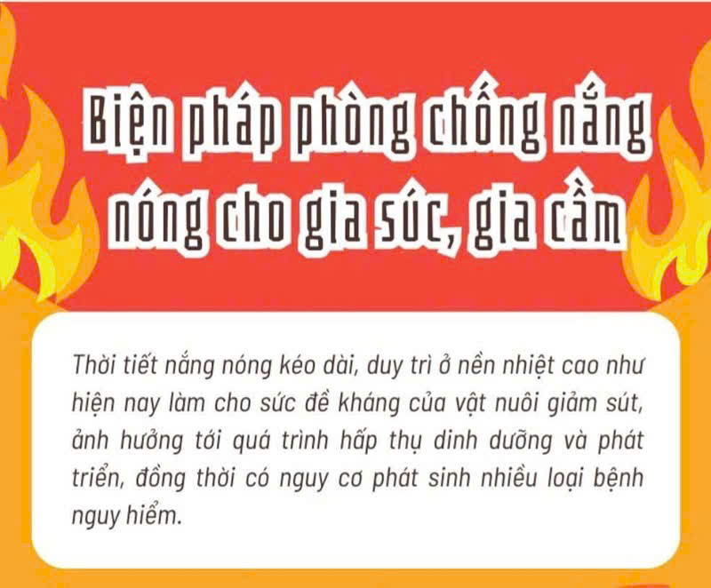 UBND XÃ ĐỒNG TÂM TRIỂN KHAI CÁC BIỆN PHÁP PHÒNG, CHỐNG NẮNG NÓNG CHO ĐÀN GIA SÚC, GIA CẦM VÀ THỦY SẢN NĂM 2026