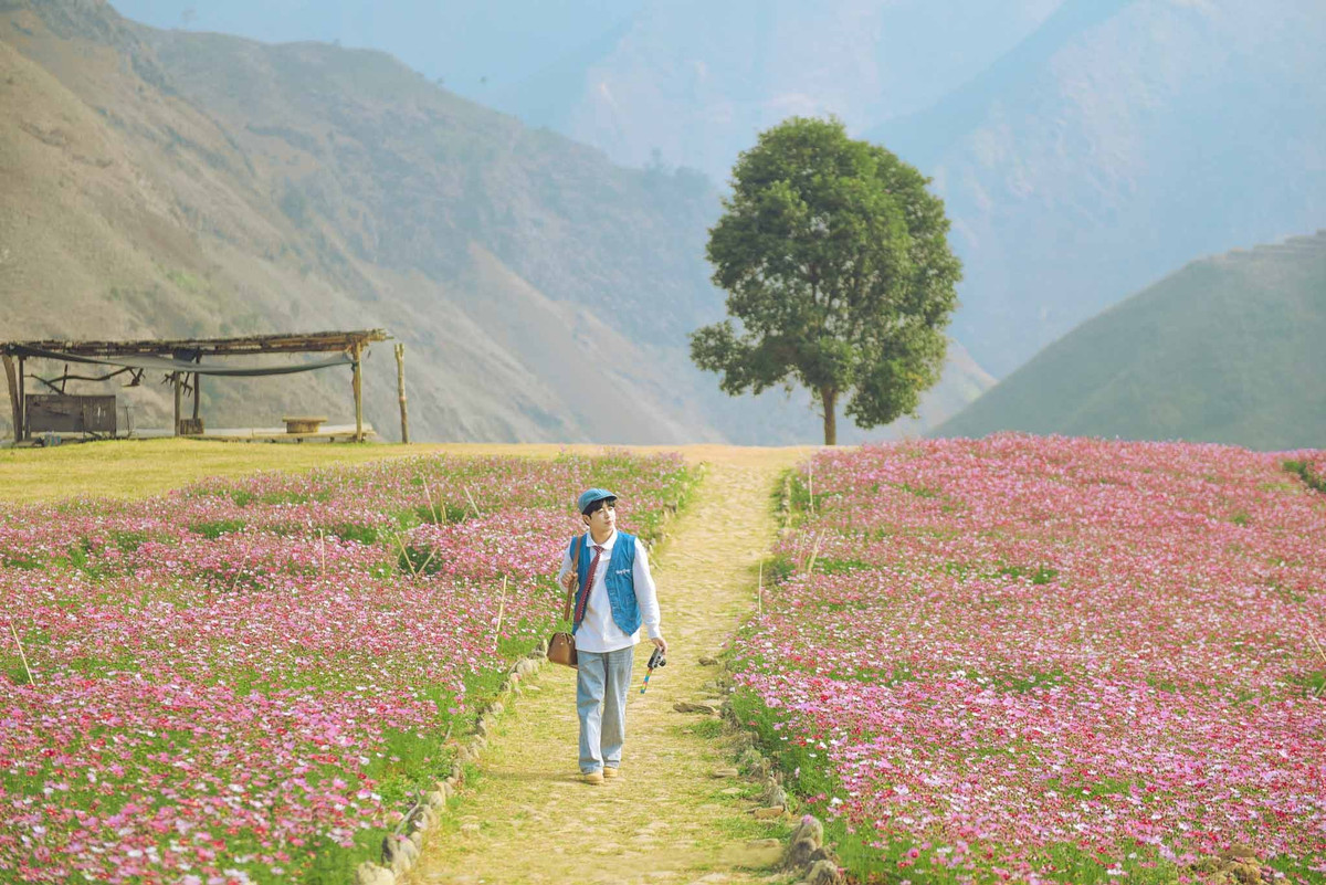 Vườn hoa bướm Tà Xùa 'tọa độ' sống ảo lãng mạn mùa thu không thể bỏ qua