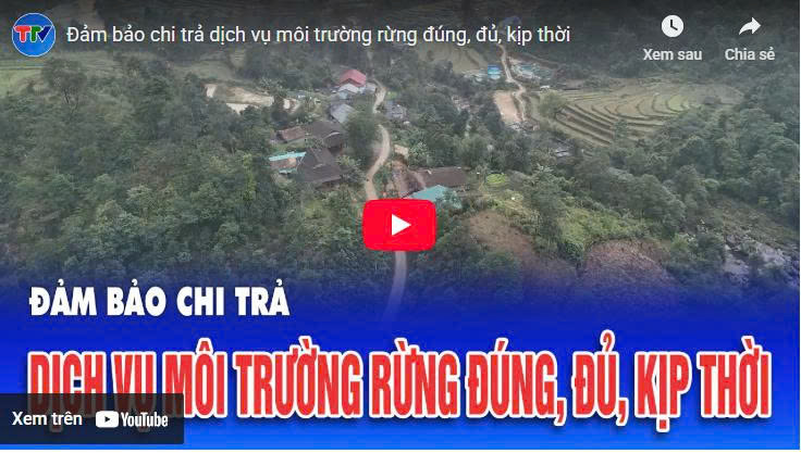 Đảm bảo chi trả dịch vụ môi trường rừng đúng, đủ, kịp thời