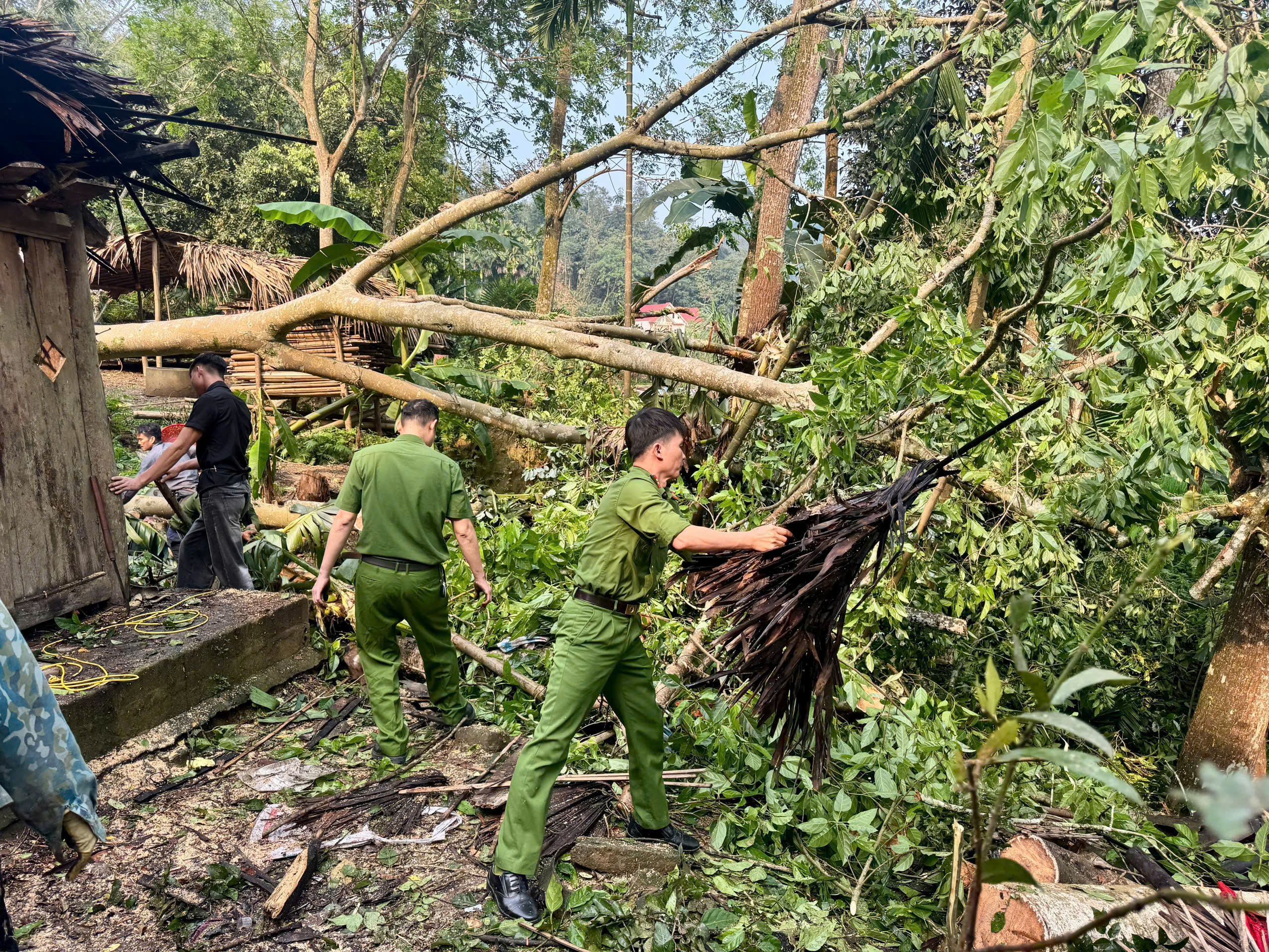 C an gi&uacute;p d&acirc;n3.jpg