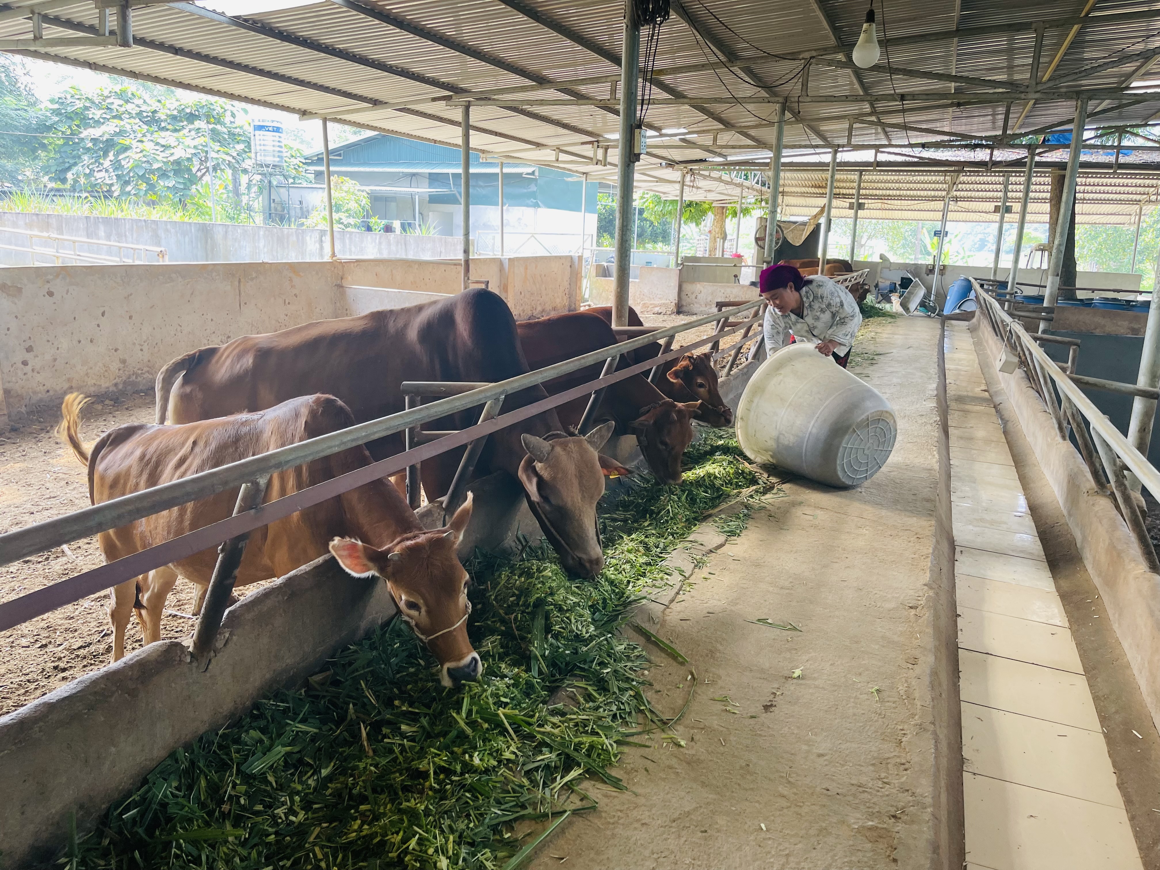 thuận h&ograve;a 1.jpeg