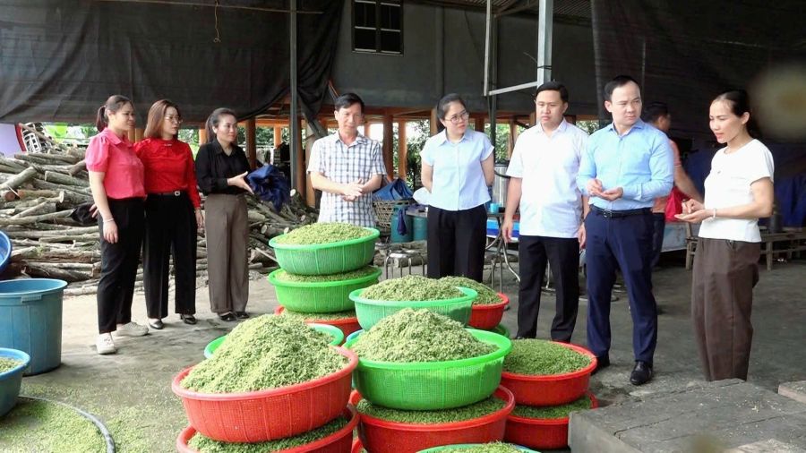 Vững xây nền tảng Đảng - Khơi dậy khát vọng phát triển ở Bắc Quang