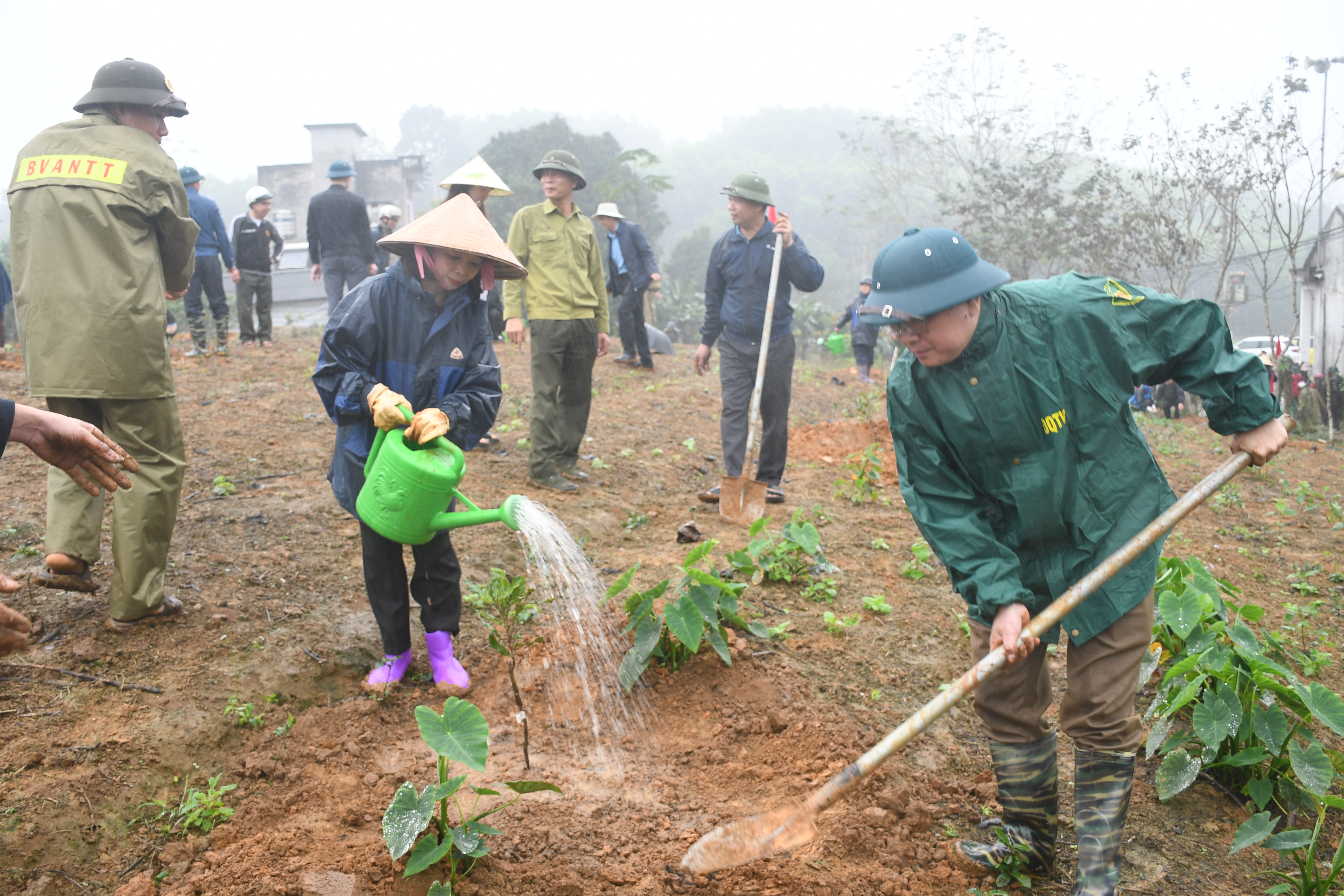  SÔI NỔI LỄ PHÁT ĐỘNG “TẾT TRỒNG CÂY ĐỜI ĐỜI NHỚ ƠN BÁC HỒ” XUÂN BÍNH NGỌ 2026 